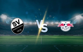 sandhausen-vs-rb-leipzig-1508024553-1.jpg